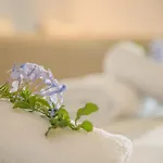 Отель Cycladic Islands &
