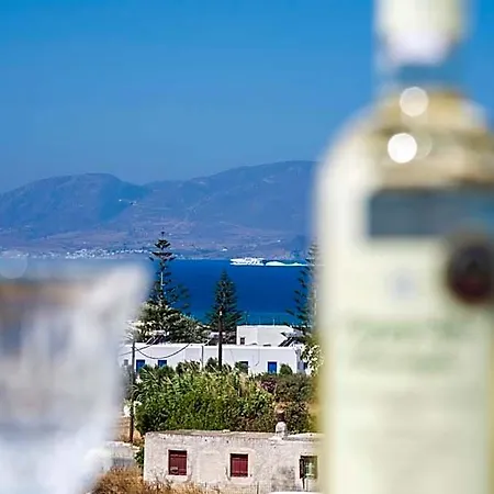 Hotel Cycladic Islands & Agia Anna (Naxos)