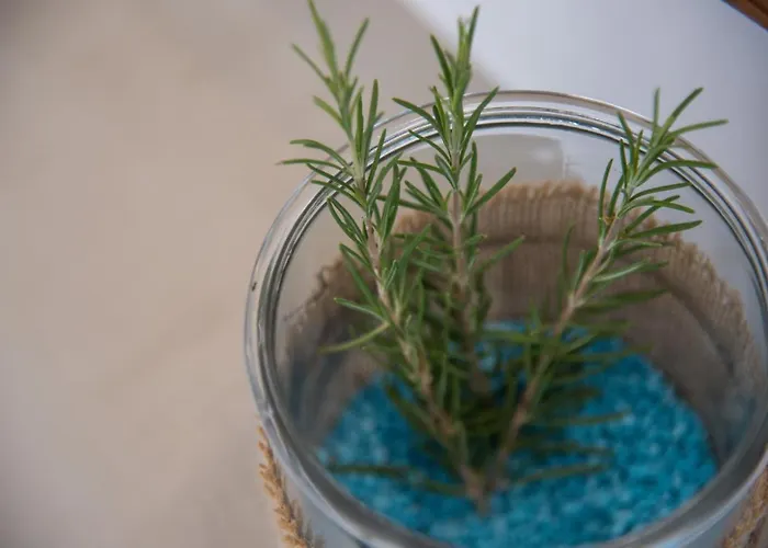 Cycladic Islands & Ξενοδοχείο 4*